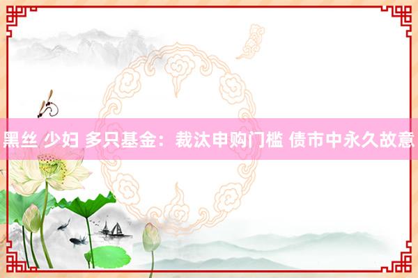 黑丝 少妇 多只基金：裁汰申购门槛 债市中永久故意